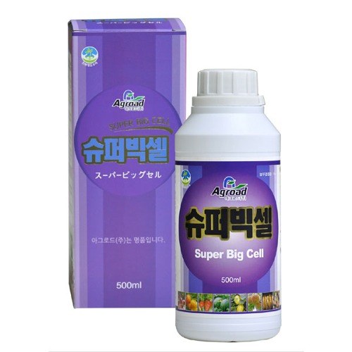 슈퍼빅셀 사진