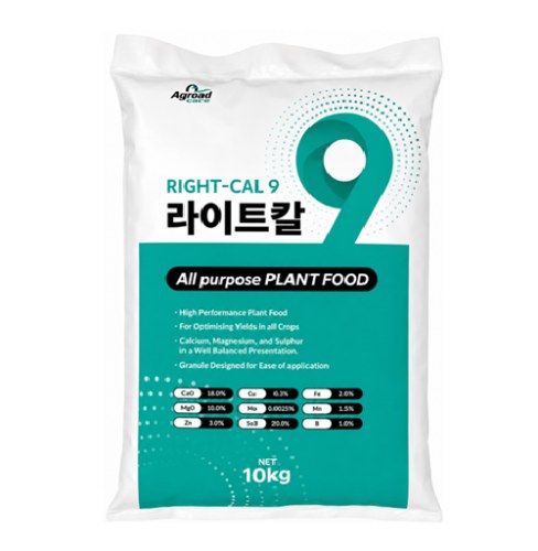 라이트칼 사진