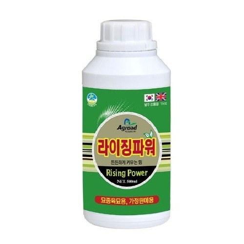 라이징파워 사진