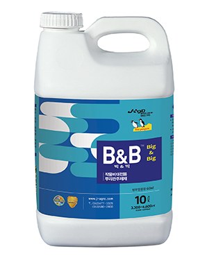 빅&빅 사진