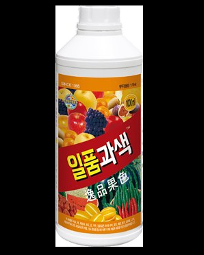 일품과색 사진