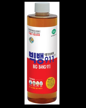 빅뱅911 사진