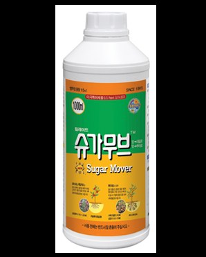 슈가무브 사진