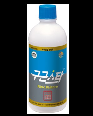 구근스타 사진