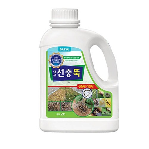 대유 선충뚝 사진