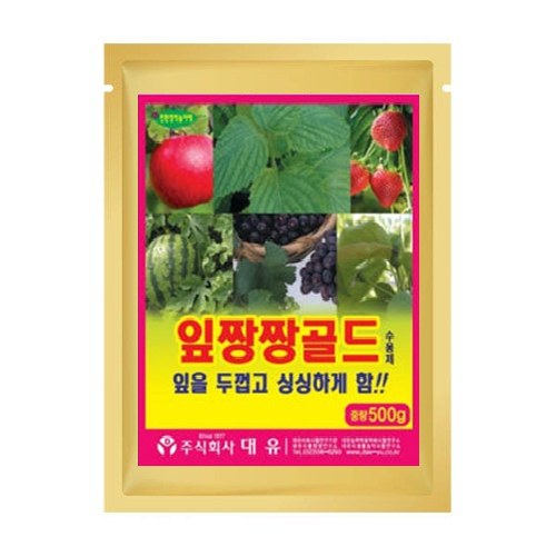 대유 잎짱짱골드 사진
