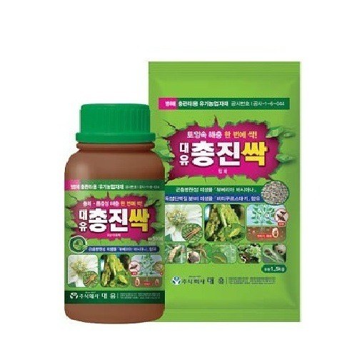 대유 총진싹 사진