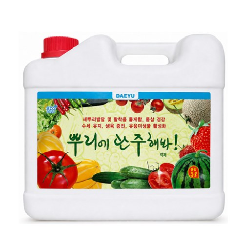 대유 뿌리에관주해봐 사진