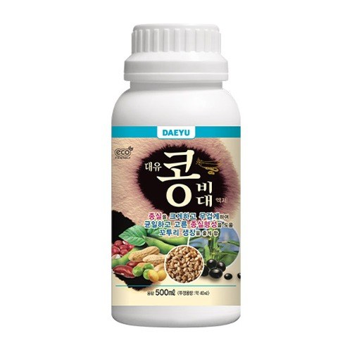 대유 콩비대 사진