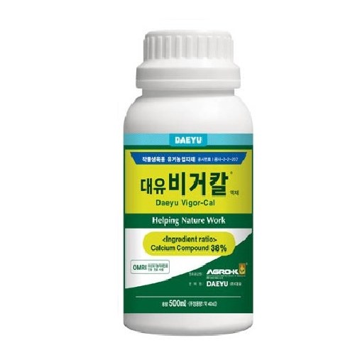 대유 비거칼 사진