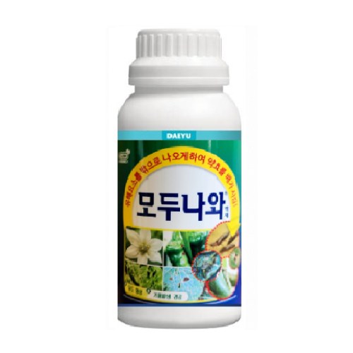 대유 모두나와 사진