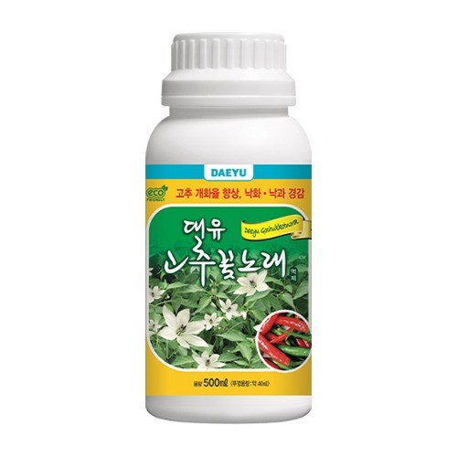 대유 고추꽃노래 사진