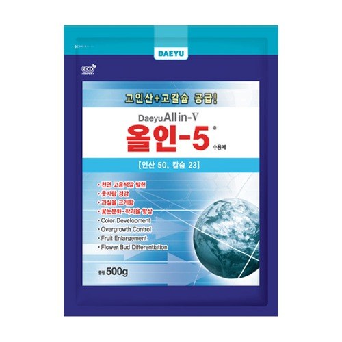 대유 올인-5 사진