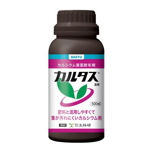 대유 카르타스 사진
