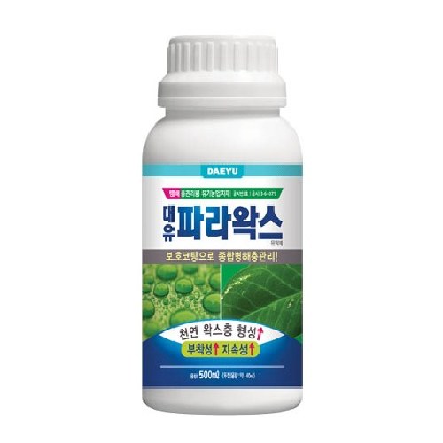 대유 파라왁스 사진