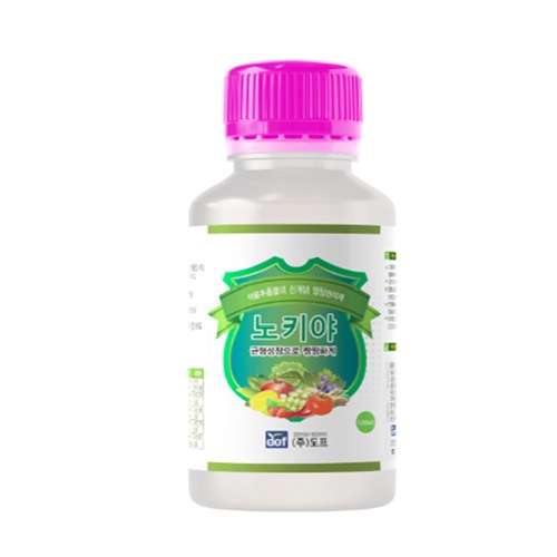 도프 노키야 사진