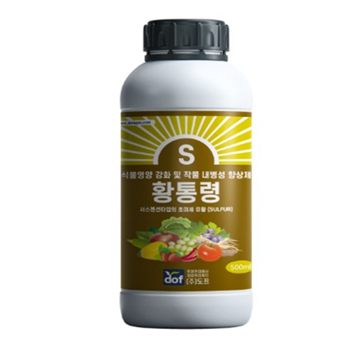 도프 황통령 사진