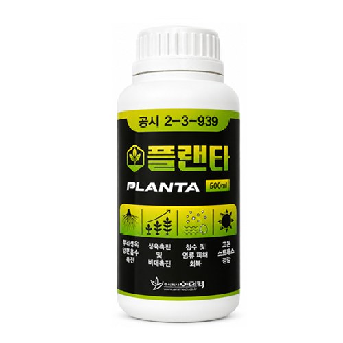 아미텍 플랜타 사진