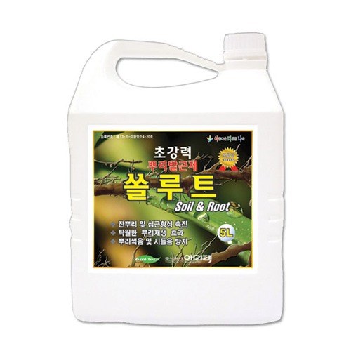 아미텍 쏠루트 사진