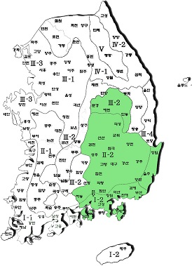 영진 사진
