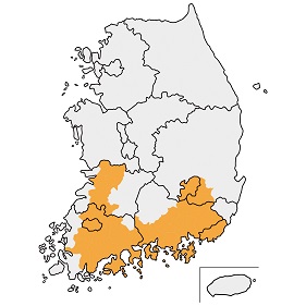영호진미 사진