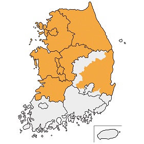 일품 사진
