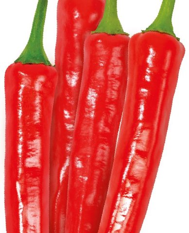 칼탄패스 사진