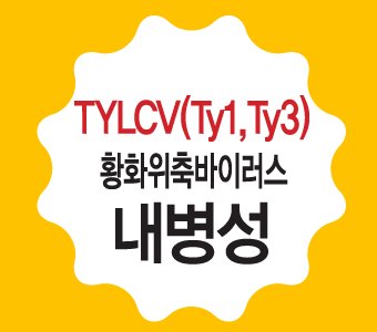 블랙체인지 재배적기표