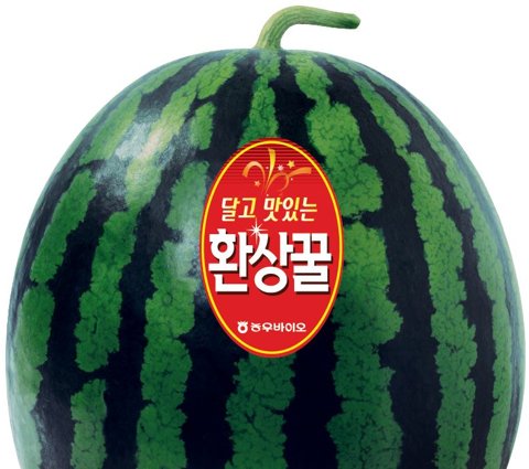 환상꿀 사진