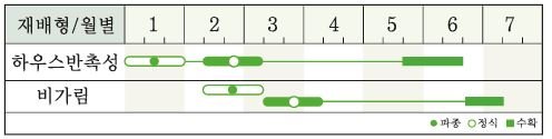 부라보꿀 재배적기표