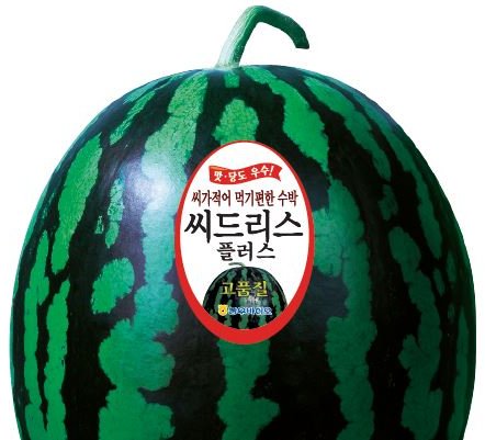 씨드리스플러스꿀 사진