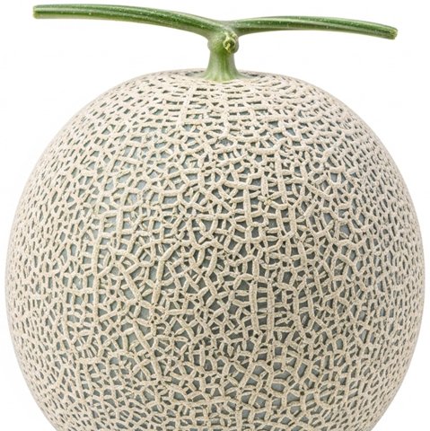 해피빅 사진