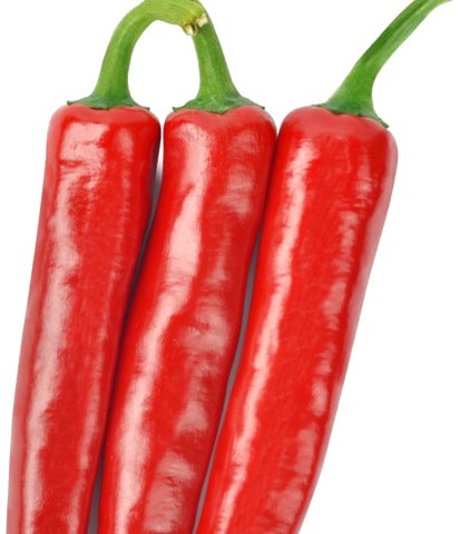 왕조 사진