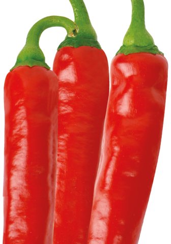 순한칼탄 사진