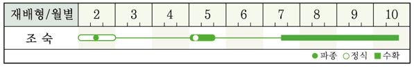 순한칼탄 재배적기표