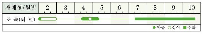 칼탄빅토리 재배적기표