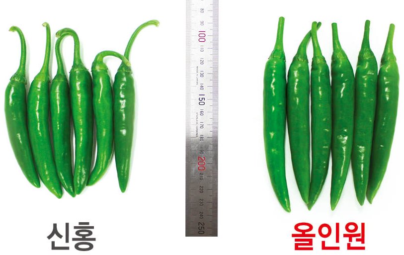 올인원 재배적기표
