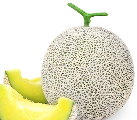 피엠꿀 사진