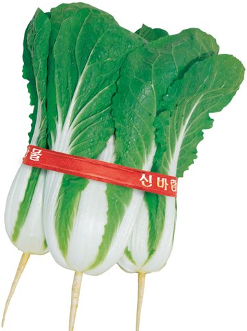 농우엇갈이 사진