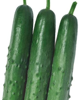 제왕청장 사진