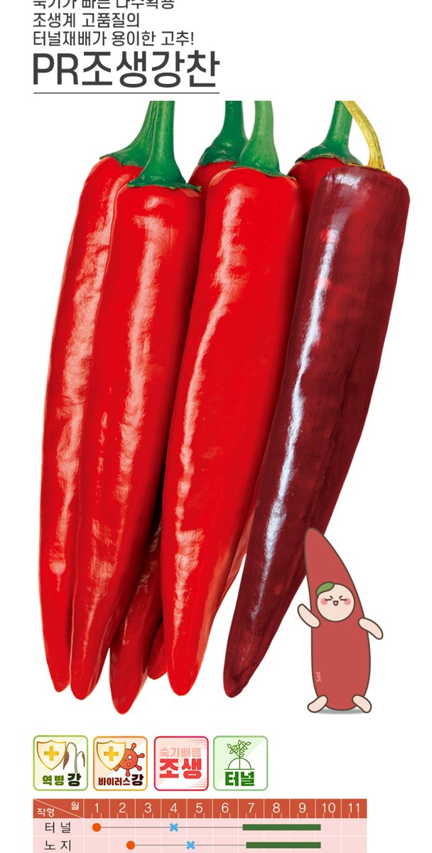 PR조생강찬 재배적기표