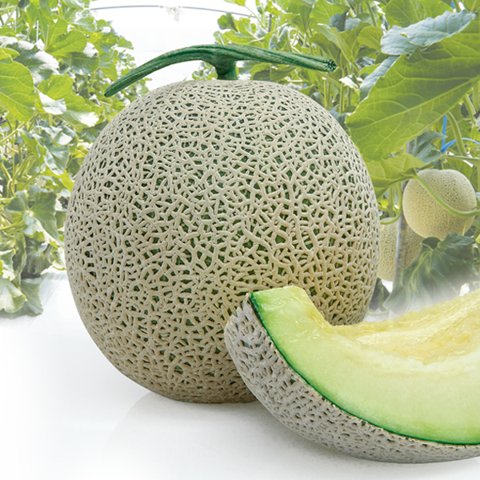 PMR더킹 사진