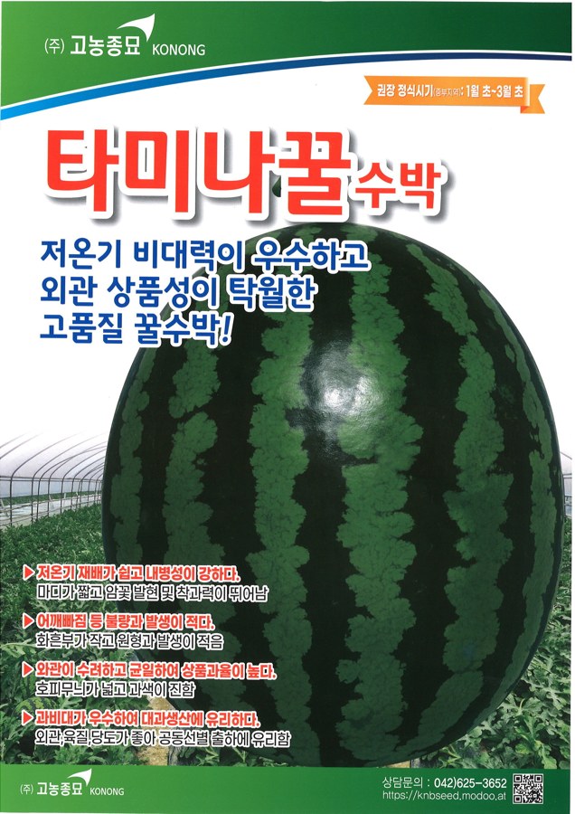 타미나꿀 사진