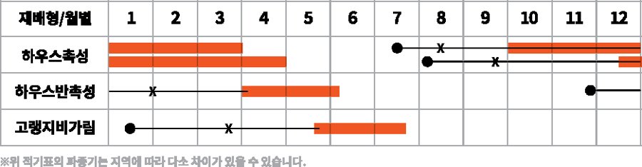 TY스타 재배적기표