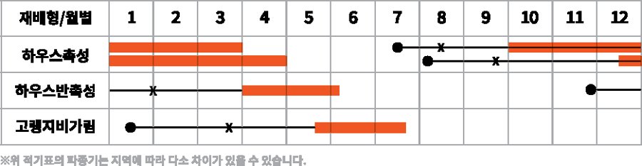 TY메가톤 재배적기표