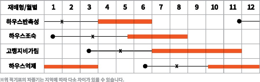 TY코코벨 재배적기표