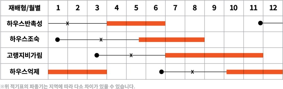 올커니 재배적기표