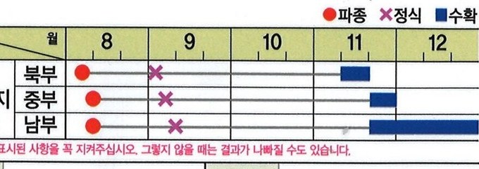 황금제왕 재배적기표