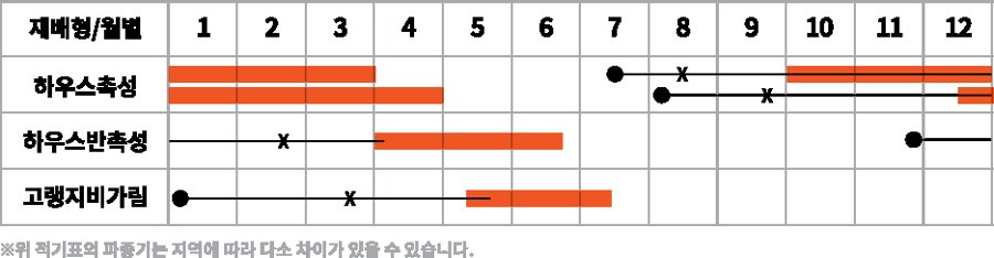 캔디플러스 재배적기표
