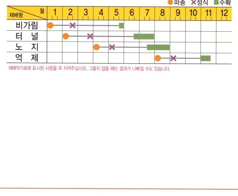 한손애미니밤 재배적기표